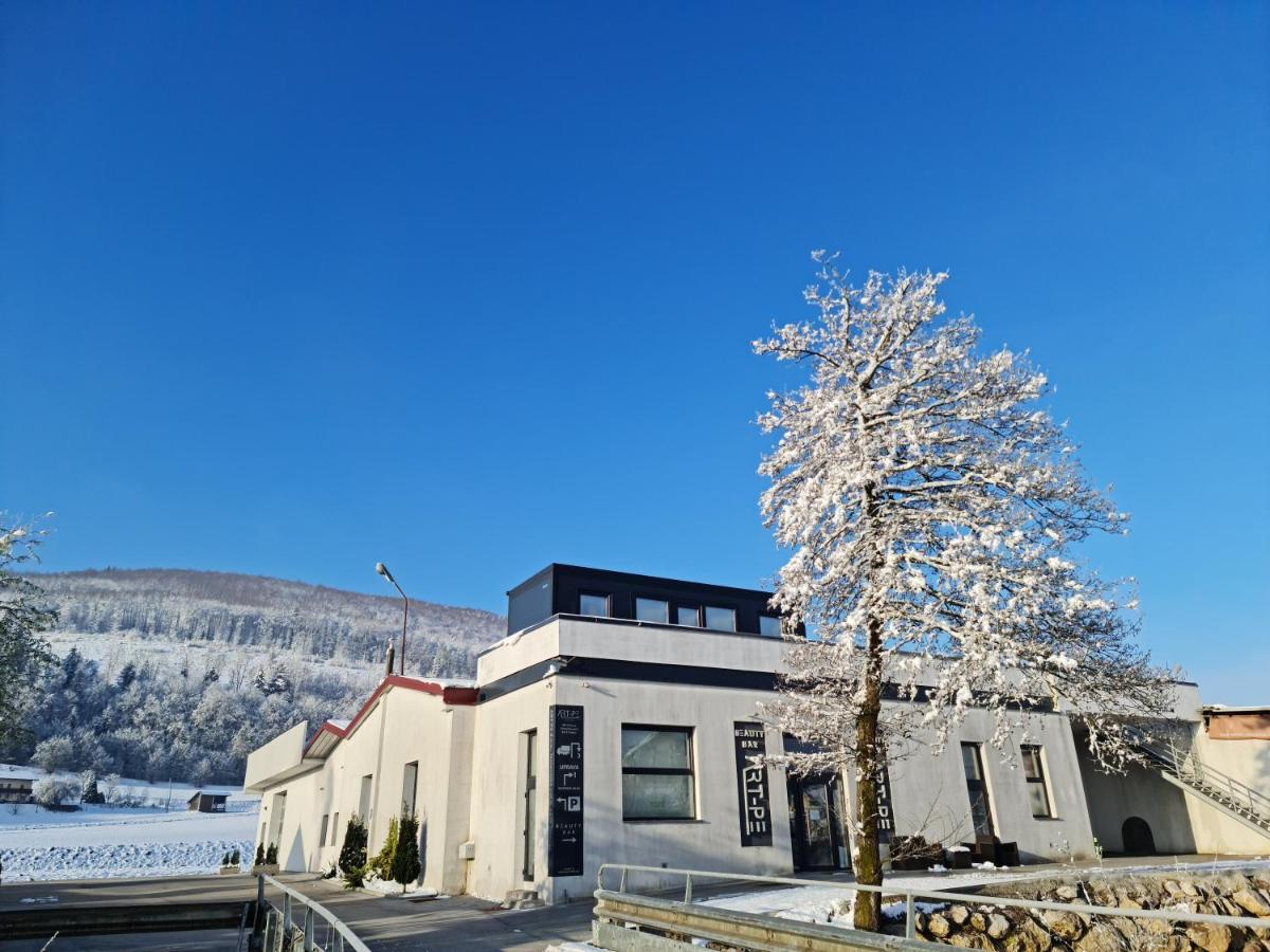Roof Apartment Art-Pe Trebnje Zewnętrze zdjęcie